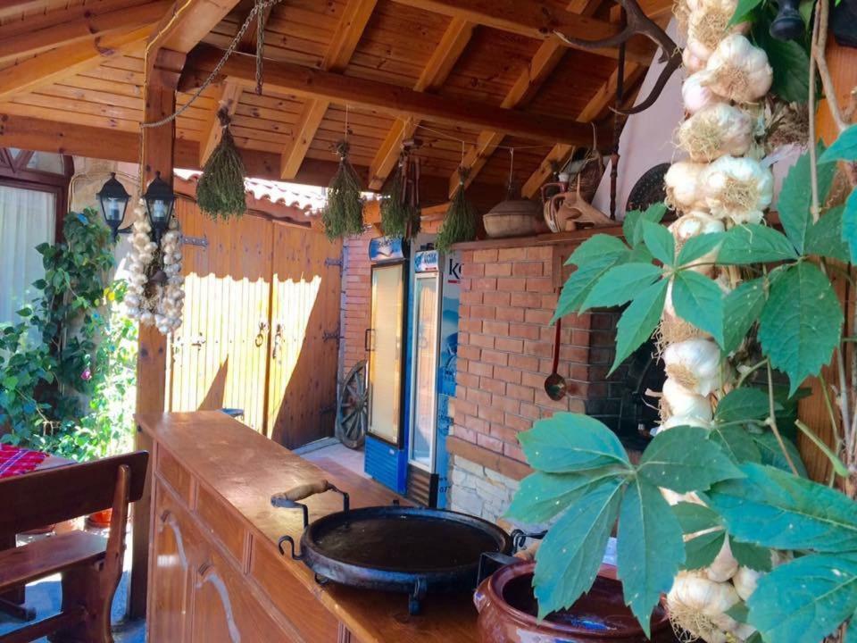 Guest House Gergana Primorsko Eksteriør bilde